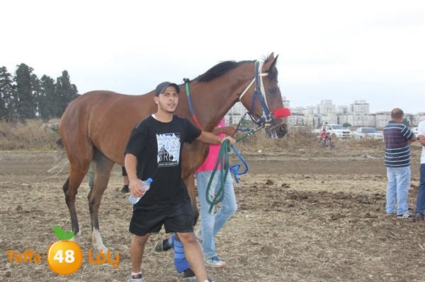 khoyoul lud 0610 (66).JPG